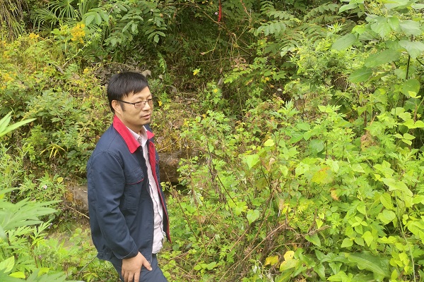 251637828729189083.jpeg 張岳禮_副本.jpg