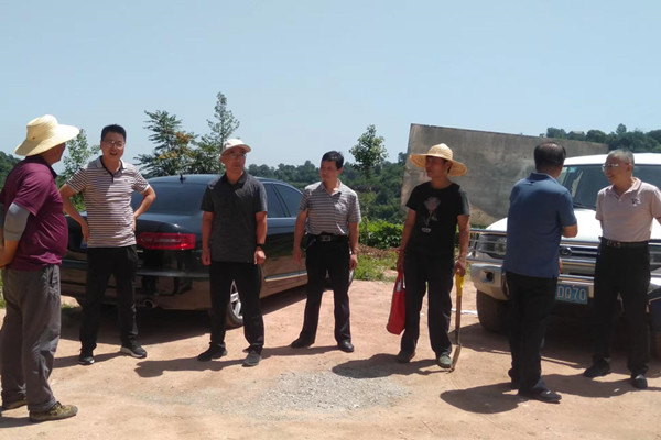 291659086747663055.jpeg 1-1.jpg